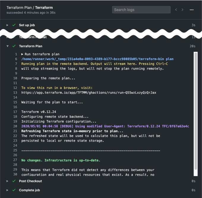 Output from the Terraform Plan Action